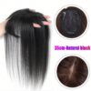 SHEIN Replacement Piece Hair Covering White Hair Natural