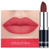 SHEIN HANDAIYAN Matte Mist Permanent Moisturizing Lipstick