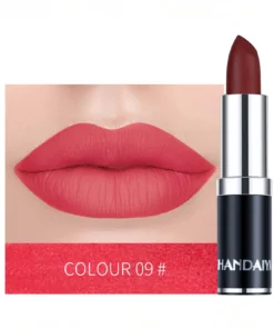 SHEIN HANDAIYAN Matte Mist Permanent Moisturizing Lipstick
