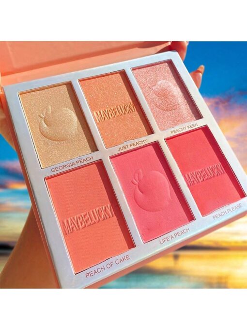 SHEIN 1 Pc Six Color Powder Blusher