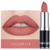 SHEIN HANDAIYAN Matte Mist Permanent Moisturizing Lipstick