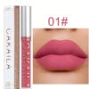 SHEIN Waterproof Matte Lip Gloss #01